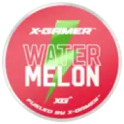 x-gamer
