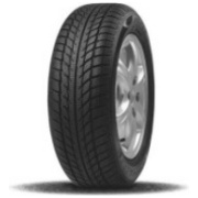 205/55 R16 91H BSW Goodride SW608