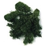 mākslīgā sūna