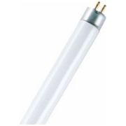 t5 g5 13w