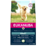 eukanuba adult large breed lamb
