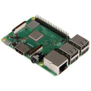 raspberry