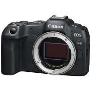 canon eos r8