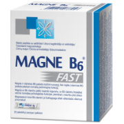 magne b6