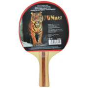 ping pong racket
