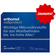 spermidine