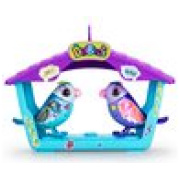 digibirds
