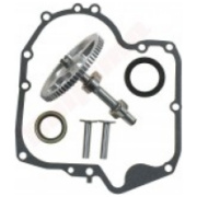 briggs stratton vārsti