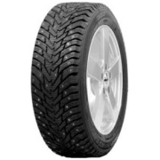 225 45 r17 ziemas riepas