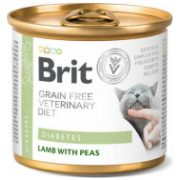 brit diabetes