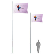 karoga masts