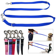 treniņu pavada sunim