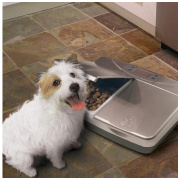 automatiska kaķu dzirdinātava