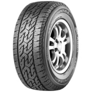 riepas 255 55 r19