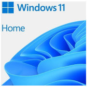 Microsoft Windows 11 HOME OEM DVD EN