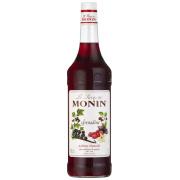 monin 1 l