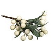 amulis