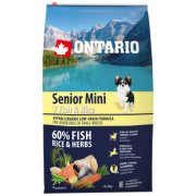 ontario dog senior mini fish