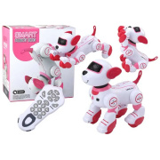 robot dog