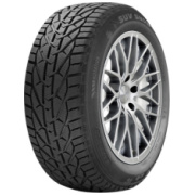 205 55 xl r16 ziemas