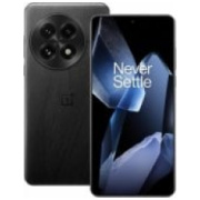 oneplus 13