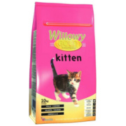 willowy gold cat