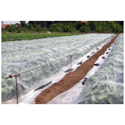 Agroplēve Fortex ANTI FROST PAKA, 17 g/m2, 1,6x5m,